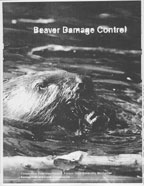Beaver Damage Control