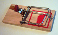 mouse trap