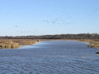 Waterfowl stream NRCS